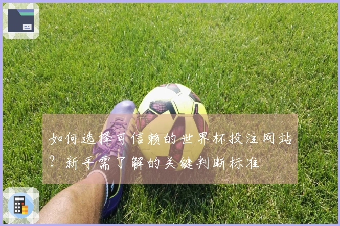 如何选择可信赖的世界杯投注网站？新手需了解的关键判断标准